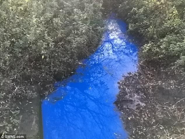 Bí ẩn về dòng sông đột ngột chuyển màu xanh kỳ lạ: Khoa học giải mã thành công  - Ảnh 3.