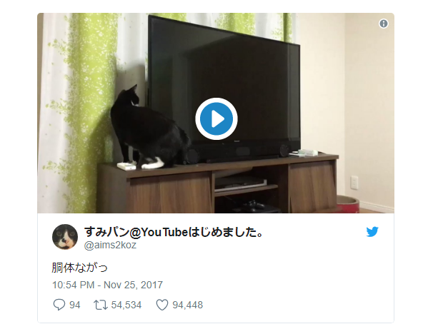 Thực hư clip con mèo dài cả mét, luồn đằng sau chiếc tivi tại Nhật Bản - Ảnh 2.