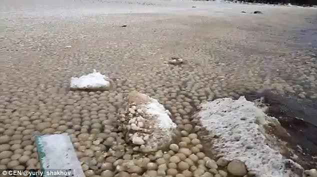 Bí ẩn hàng ngàn quả cầu băng trôi dạt vào bờ biển Nga có thể cho thấy một hiện thực đáng sợ - Ảnh 1.
