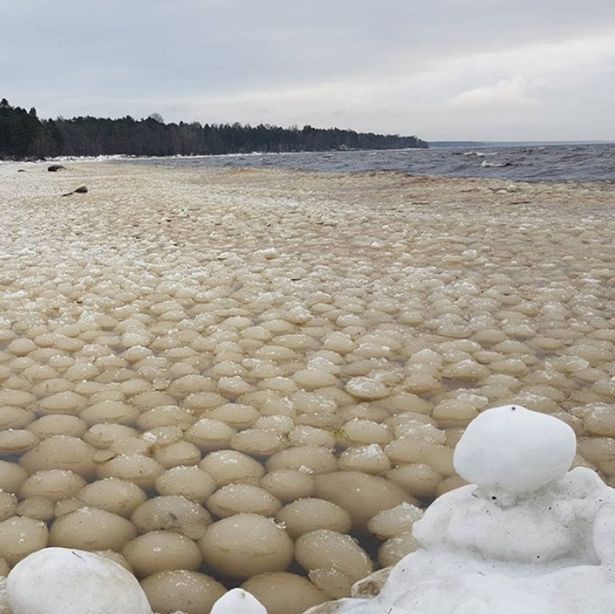 Bí ẩn hàng ngàn quả bóng tuyết dạt vào bờ biển khiến người dân lo sợ - Ảnh 2.