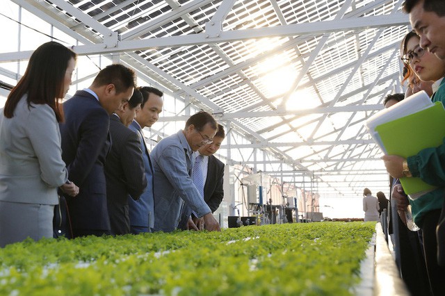 Bắt tay đối tác Nhật, FLC dự kiến đầu tư 1,5 tỷ USD vào nông nghiệp công nghệ cao Việt Nam - Ảnh 1.