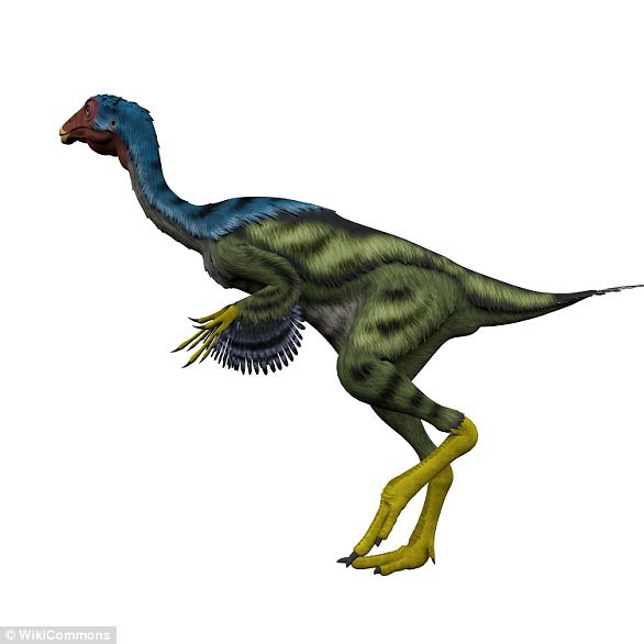Phát hiện ổ trứng khủng long còn nguyên vẹn sau 130 triệu năm - Ảnh 5.