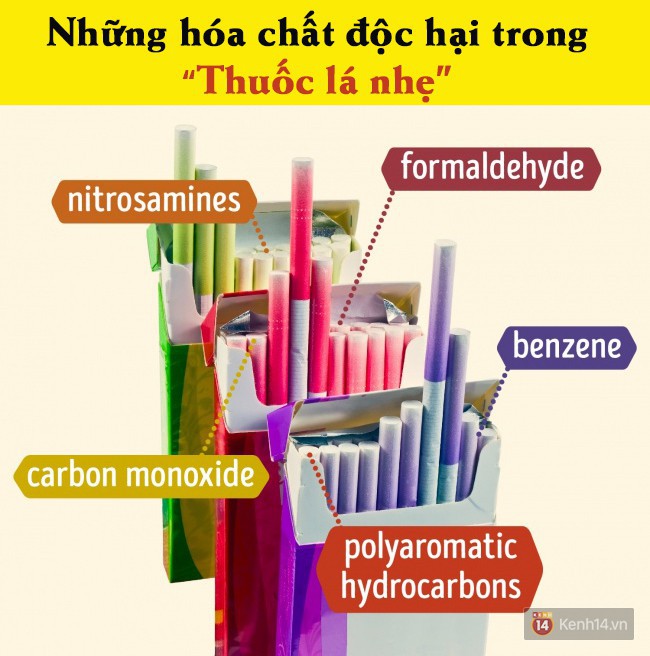 Khoa học điểm mặt tác hại kinh hoàng của tất tần tật loại thuốc lá bạn vẫn hút - Ảnh 2.