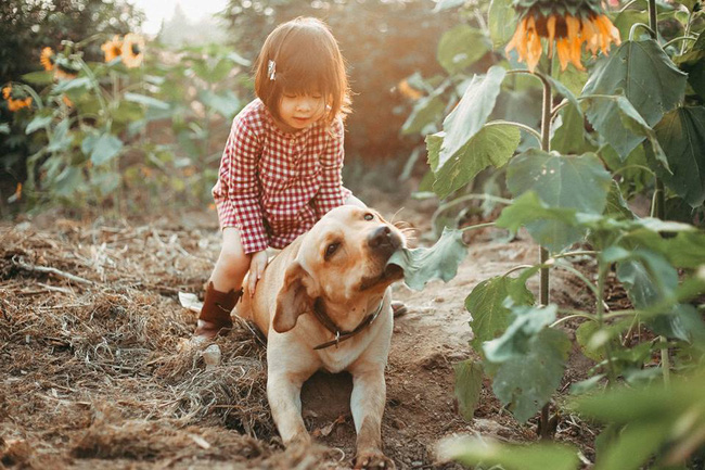 Khuôn mặt sợ chó siêu đáng yêu của cô bé má phính Hà Nội ăn đứt Vô Diện lạnh lùng - Ảnh 11.