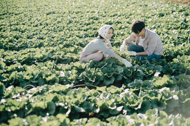 Chỉ cần yêu nhau thật nhiều thì ảnh cưới chụp ở... vườn rau cũng khiến người ta xuýt xoa - Ảnh 11.