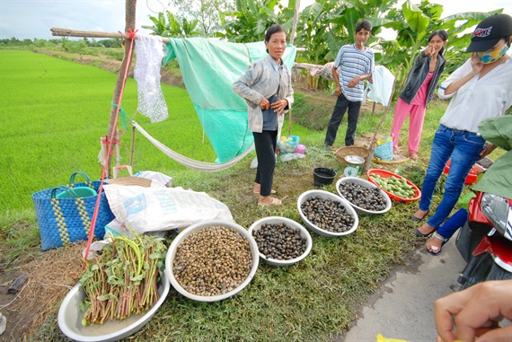 Những hình ảnh độc đáo nghề săn ốc đồng mùa mưa, lũ - Ảnh 11.