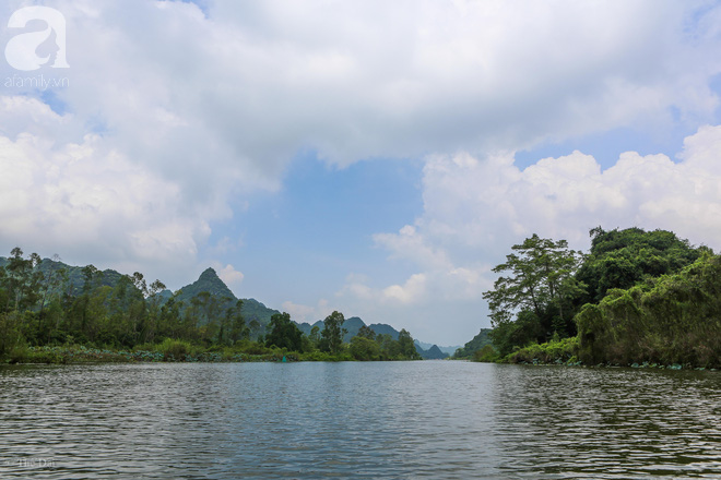  Không cần đi đâu xa, ngay ở Hà Nội cũng có một chốn ngập hoa súng, cảnh đẹp như phim cổ trang - Ảnh 11.