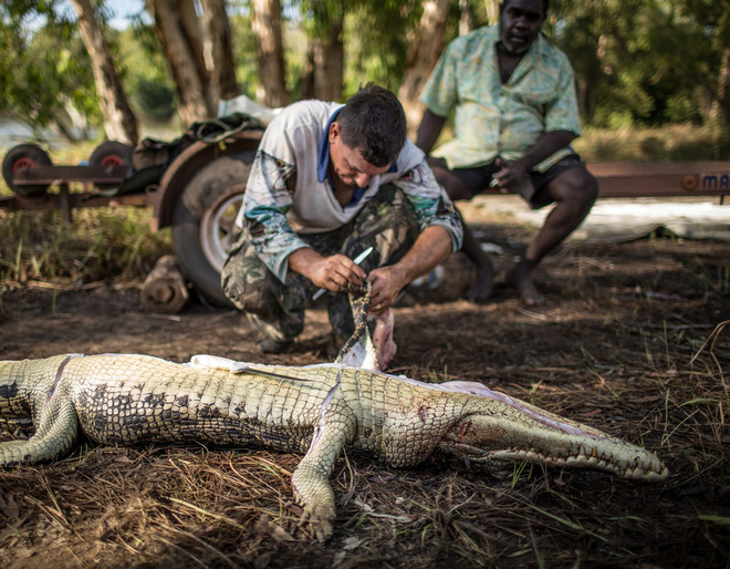 Thế giới kì lạ của những người săn cá sấu tại đất Úc - Ảnh 10.