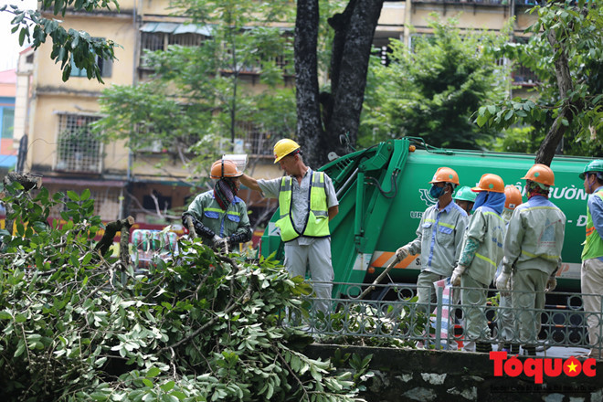 Hà Nội: Hàng cây đẹp nhất trên đường Kim Mã bắt đầu bị chặt hạ - Ảnh 11.