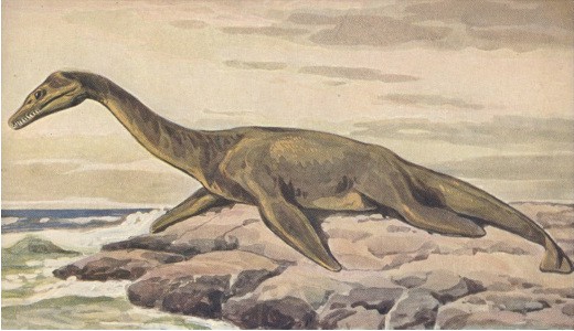Những hình ảnh, bí ẩn và giả thuyết mới nhất về quái vật hồ Loch Ness - Ảnh 11.