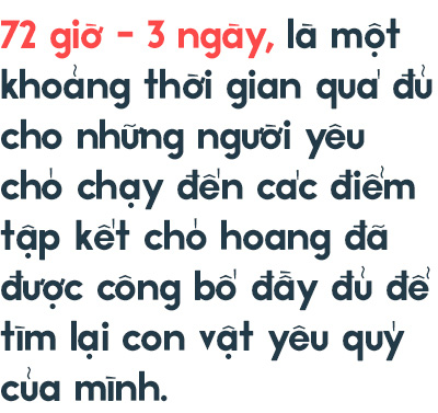 Từ vấn đề bắt nhốt chó ở TP.HCM: Hãy biết yêu thú cưng một cách văn minh và thấu hiểu! - Ảnh 12.