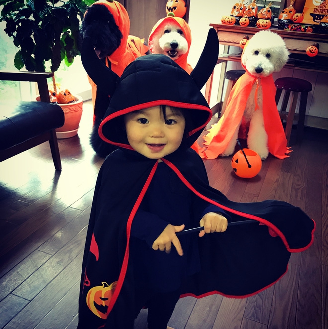 Loạt ảnh hóa trang Halloween hoành tráng nhất mạng xã hội của bé gái Nhật và những người bạn thú cưng - Ảnh 12.