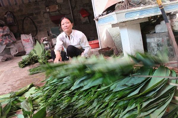 Lạ mà hay: Chỉ nhặt lá tre thôi, tôi cũng có tiền tỷ - Ảnh 4.