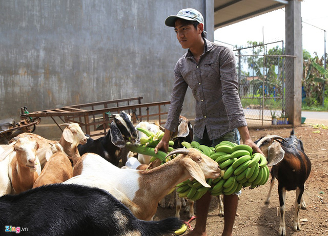 5 lần, 7 lượt bị thương lái Trung Quốc đánh úp, nông dân Việt vẫn mắc bẫy - Ảnh 3.