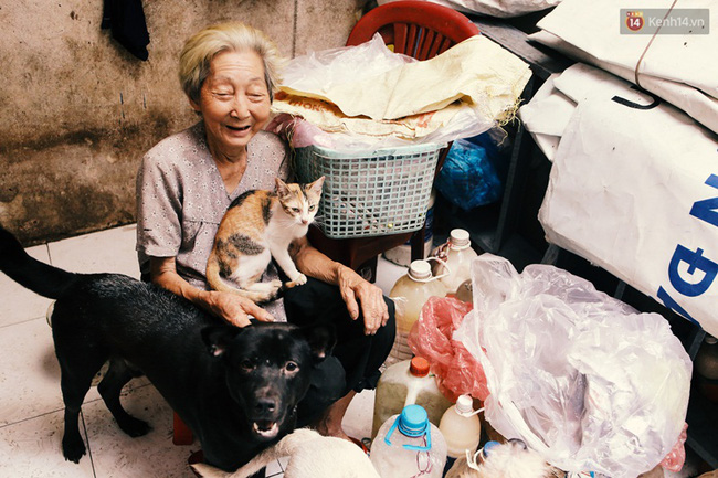 Những mẩu chuyện nhỏ xinh của người Sài Gòn yêu mèo, yêu chó! - Ảnh 13.