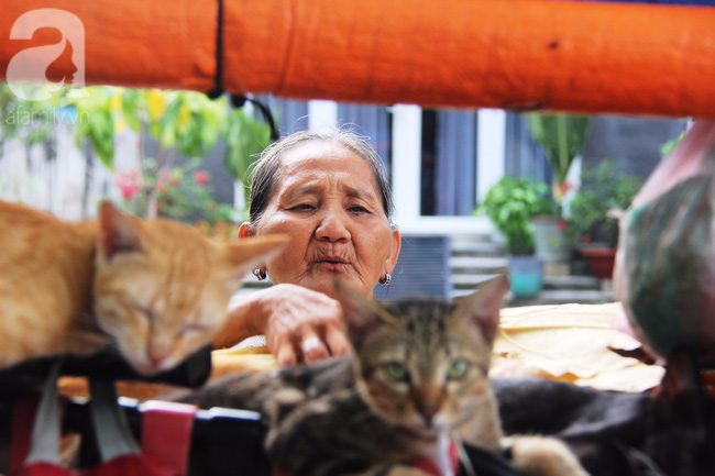  Không gia đình, cụ bà 87 tuổi ngủ lề đường chăm bẵm đàn con 20 chú mèo bị bỏ rơi giữa Sài Gòn - Ảnh 13.