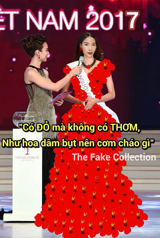 Ảnh chế Hoàng Thùy thi Hoa hậu Hoàn vũ Việt Nam mặc váy hoa dâm bụt và ứng xử bằng ca dao - Ảnh 13.