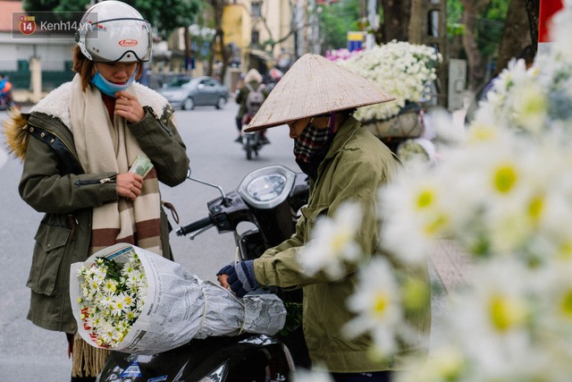  Đằng sau những gánh cúc họa mi trên phố Hà Nội là nỗi niềm của người nông dân Nhật Tân: Không còn sức nữa, phải bỏ hoa về nhà!  - Ảnh 13.