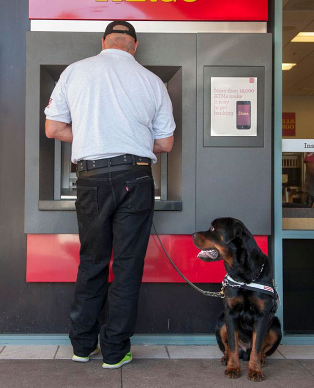 Những chú chó vào vai bảo kê máu mặt tại các cây ATM vào ban đêm - Ảnh 14.