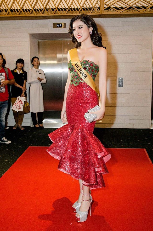 Điểm danh loạt nhan sắc Việt từng tham gia đấu trường Miss Grand International - Ảnh 14.