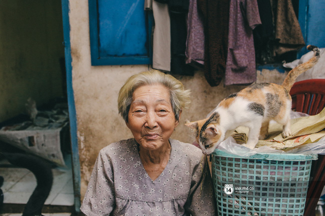 Cụ bà cưu mang 50 đứa con chó mèo trong căn nhà ẩm thấp ở Sài Gòn giờ ra sao? - Ảnh 15.