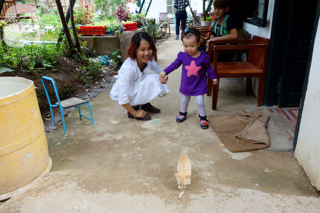 Có một Thời Thanh Xuân trên đồi thông Đà Lạt - nơi người nói và người điếc sống chan hòa với cỏ cây - Ảnh 15.