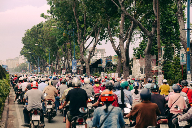 Hàng chục gian hàng gần sân bay Tân Sơn Nhất ồ ạt thanh lý chó, gà, cây cảnh, giao thông Sài Gòn hỗn loạn - Ảnh 14.