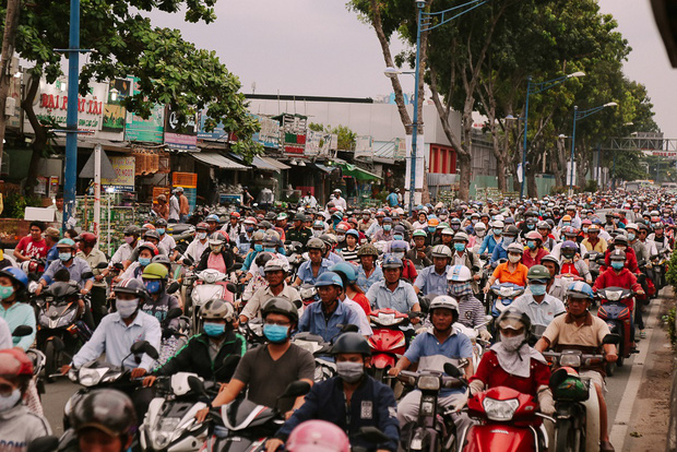 Hàng chục gian hàng gần sân bay Tân Sơn Nhất ồ ạt thanh lý chó, gà, cây cảnh, giao thông Sài Gòn hỗn loạn - Ảnh 15.