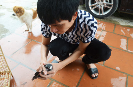 Căn nhà ngoại ô sống toàn với đàn ông của ca sĩ Hồ Quang 8 - Ảnh 18.