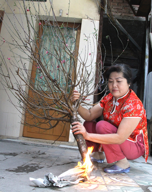 Người người mua đào là đốt gốc nhưng liệu bạn có biết sự thật này? - Ảnh 3.