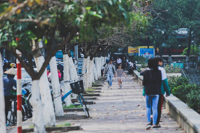 Sau những ngày mưa phùn ảm đạm, Hà Nội bỗng rực nắng dịu dàng xinh yêu đến lạ - Ảnh 3.