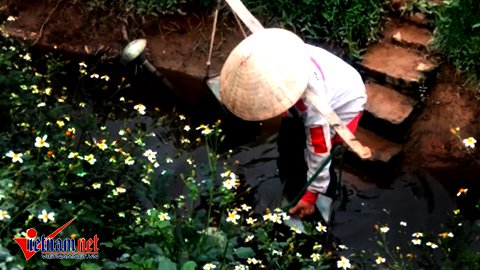 Hà Nội: Tưới rau sống bằng nước thải đen ngòm - Ảnh 3.