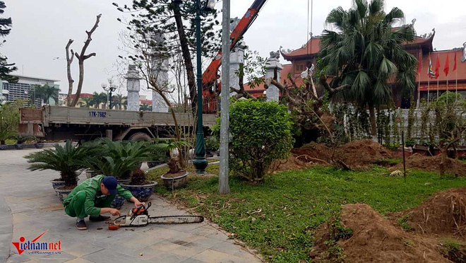 Phó chủ tịch TP Thái Bình: Vườn hoa tan hoang, tôi cũng sốt ruột - Ảnh 3.