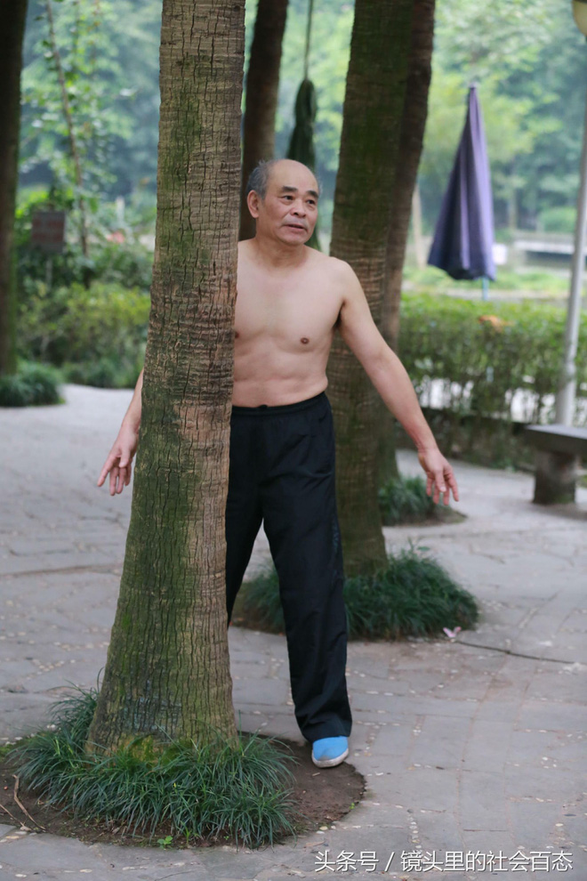 Chữa bệnh bằng cây xanh: Một trào lưu dưỡng sinh mới đang nở rộ ở Trung Quốc - Ảnh 2.