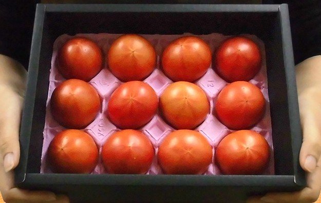 Biếu sếp quả cà chua Hoàng gia Nhật: Đắt nhất thế giới, 1,6 triệu/kg - Ảnh 3.