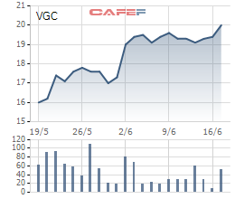 Mạnh tay chi gần 1.000 tỷ vào Viglacera, nhóm Dragon Capital tạm lãi ngay hơn 200 tỷ đồng - Ảnh 2.