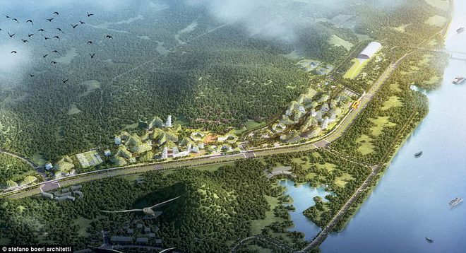 Choáng ngợp trước thành phố rừng xanh đầu tiên của thế giới với 1 triệu cây - Ảnh 3.