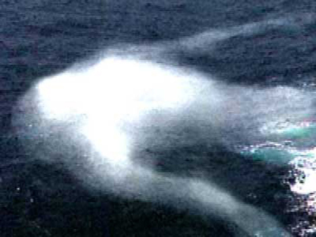 Bí ẩn chưa được giải đáp về quái vật biển khổng lồ hình người tại Nam Cực - Ảnh 3.