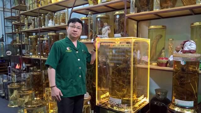 Củ sâm Ngọc Linh lớn nhất thế giới tại Việt Nam, đại gia Hàn trả tiền tỷ không bán - Ảnh 3.