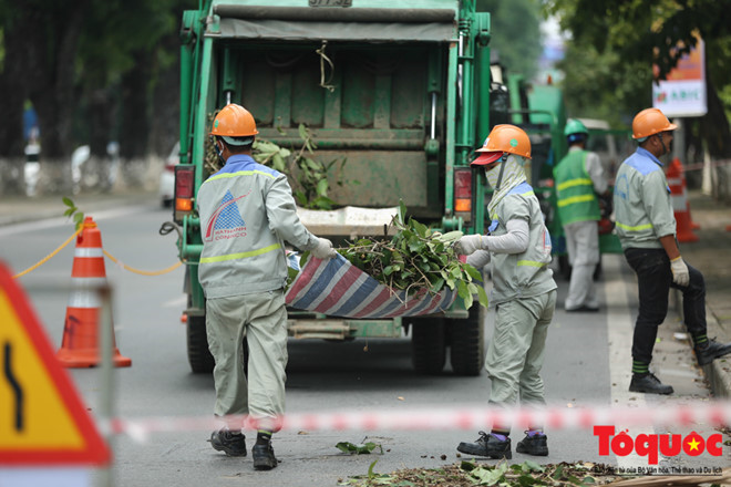 Hà Nội: Hàng cây đẹp nhất trên đường Kim Mã bắt đầu bị chặt hạ - Ảnh 3.