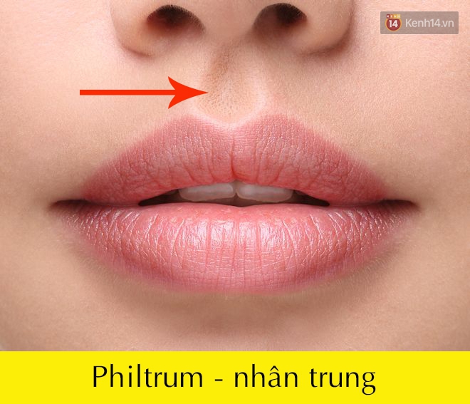 Nhìn thấy suốt ngày nhưng chắc chắn bạn không thể đọc đúng tên các bộ phận trên cơ thể này? - Ảnh 4.