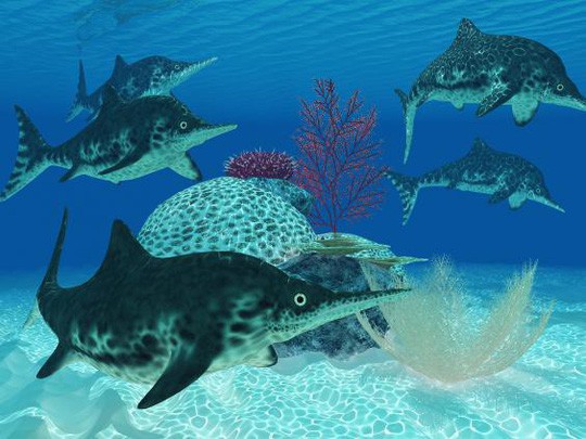 Khai quật quái vật biển đã ngủ yên 150 triệu năm - Ảnh 3.