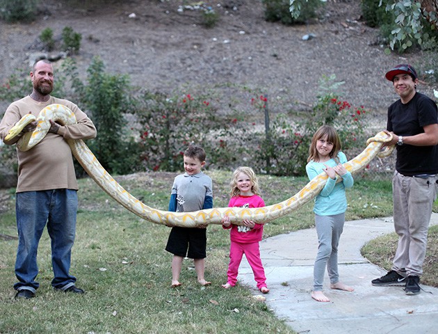 Bất chấp nguy hiểm, ông bố để con gái 3 tuổi chơi với trăn khổng lồ dài tới gần 6m - Ảnh 3.