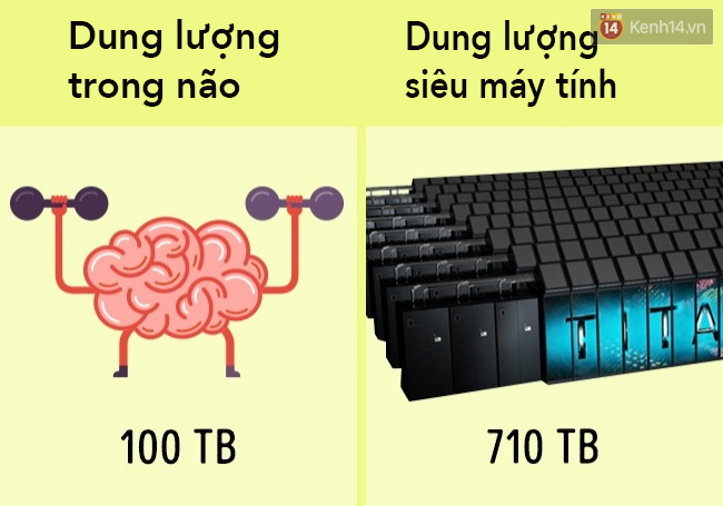 8 sự thật khó tin khi so sánh con người với những siêu máy tính mạnh nhất thế giới - Ảnh 3.