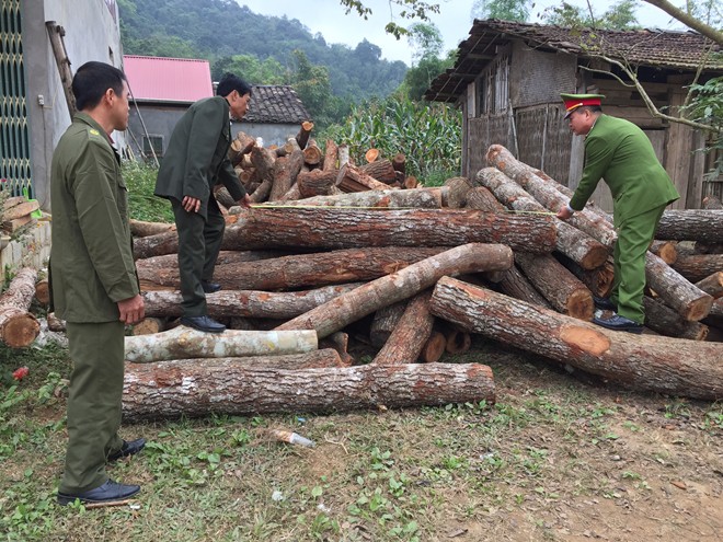 Được giao bảo vệ rừng lại tự ý mở đường vào rừng “phá” - Ảnh 2.