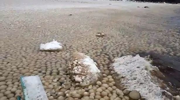 Bí ẩn hàng ngàn quả bóng tuyết dạt vào bờ biển khiến người dân lo sợ - Ảnh 4.