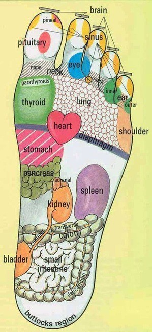 Tuyệt chiêu massage bàn chân giảm đau cơ thể & chữa bệnh - Ảnh 1.