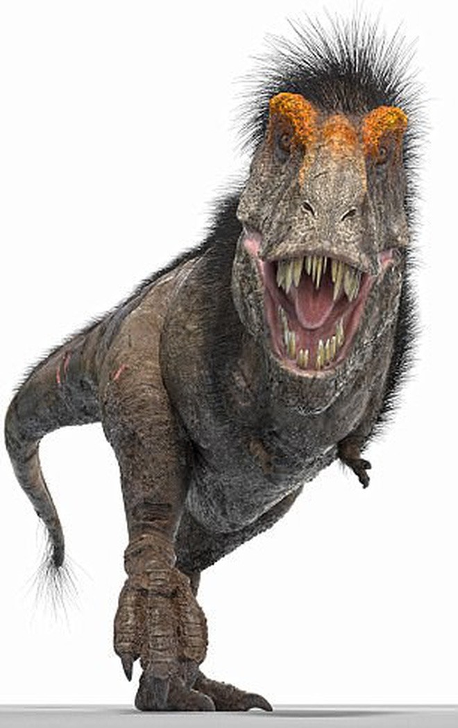 Quên huyền thoại Jurassic Park đi! Khủng long bạo chúa T-rex có ngoại hình trẻ trâu như thế này cơ - Ảnh 3.