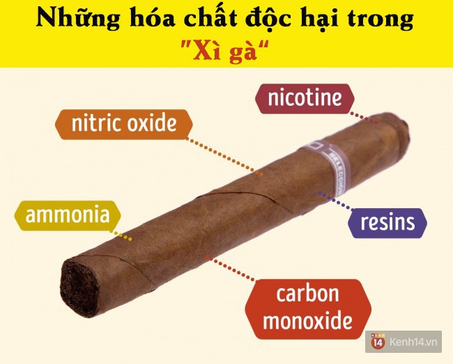 Khoa học điểm mặt tác hại kinh hoàng của tất tần tật loại thuốc lá bạn vẫn hút - Ảnh 3.