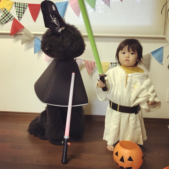 Loạt ảnh hóa trang Halloween hoành tráng nhất mạng xã hội của bé gái Nhật và những người bạn thú cưng - Ảnh 21.